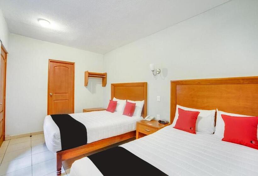 اتاق استاندارد چهار تخته, Patzcuaro