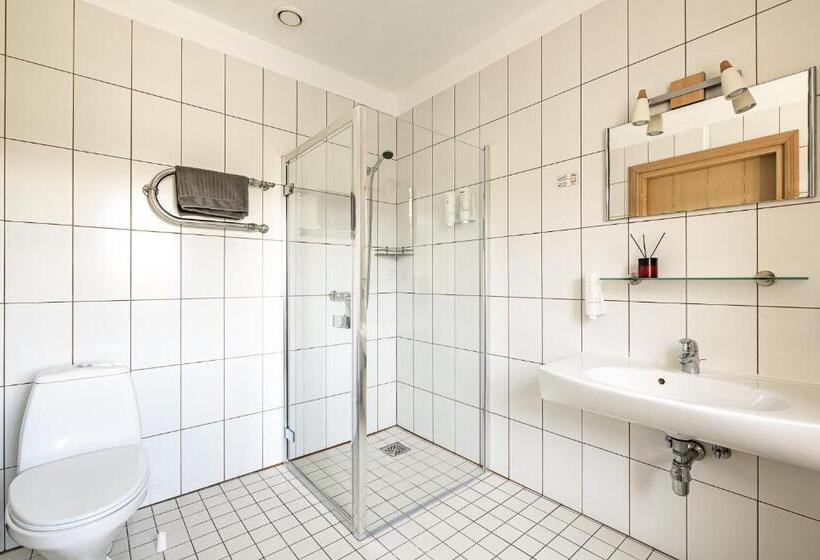 اتاق استاندارد یک نفره, More