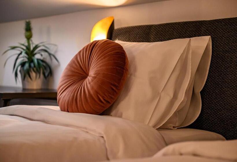 اتاق استاندارد با 2 تخت دوبل, More