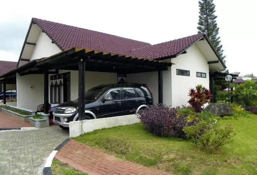 Talo 1 Makuuhuone, Sibayak Internasional