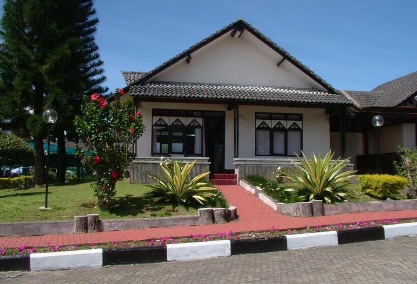 패밀리 스위트, Sibayak Internasional