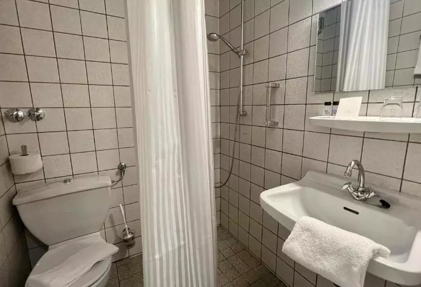 Standard-huone, Kloster Steinfeld Gästehaus