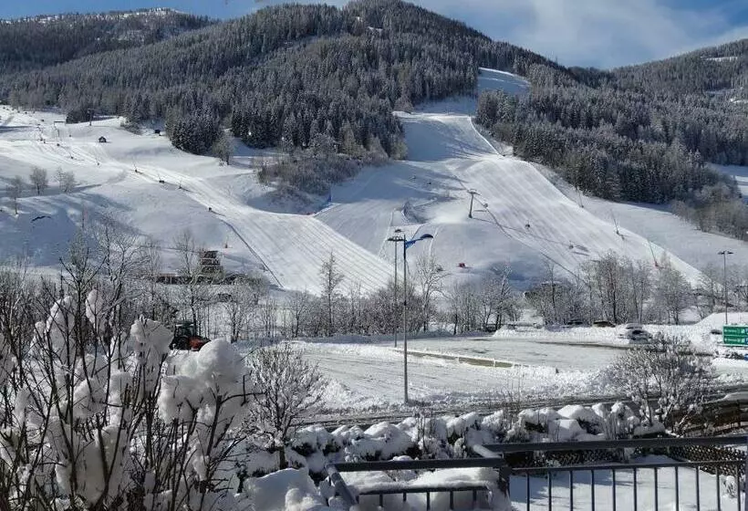テラス付きスタンダードルーム, Pension Bräuhaus