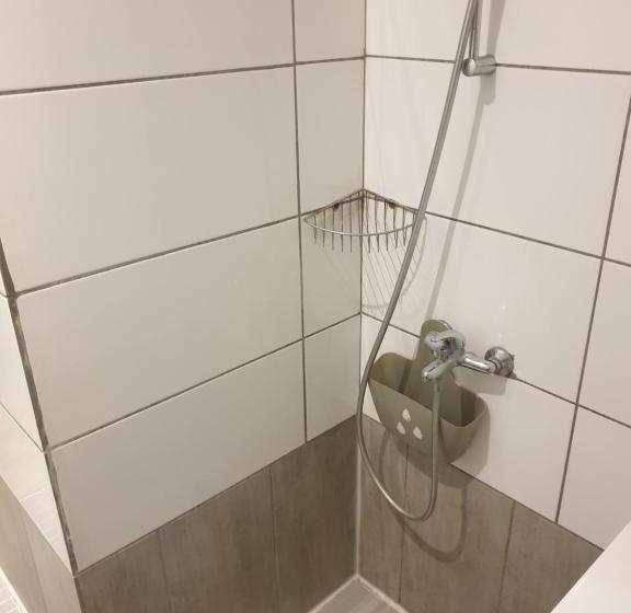 Трехместный Номер Стандарт Совместная Ванная, Pension Citytravel