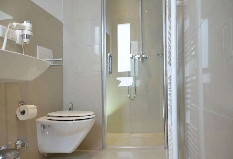 스탠다드 싱글 룸, Waldschlösschen