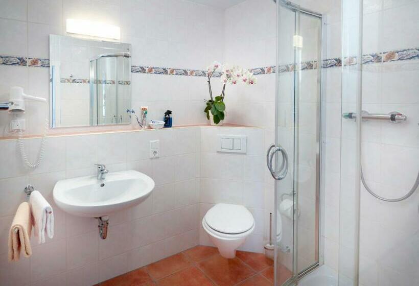 חדר סטנדרט יחיד, Landhotel Halbfas Alterauge