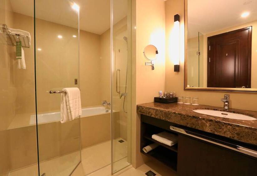 디럭스 스위트, Evergreen Laurel Hotel, Shanghai
