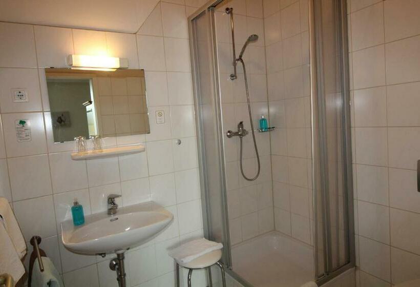 חדר סטנדרט, Gasthof Opel