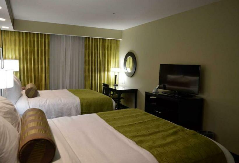 Номер Стандарт, Best Western Premier University Inn