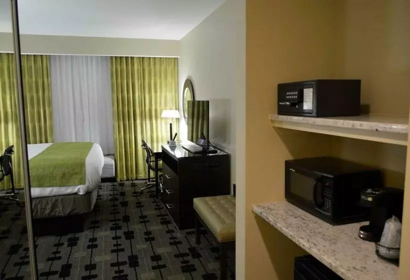 Standard Room King Size Bed
