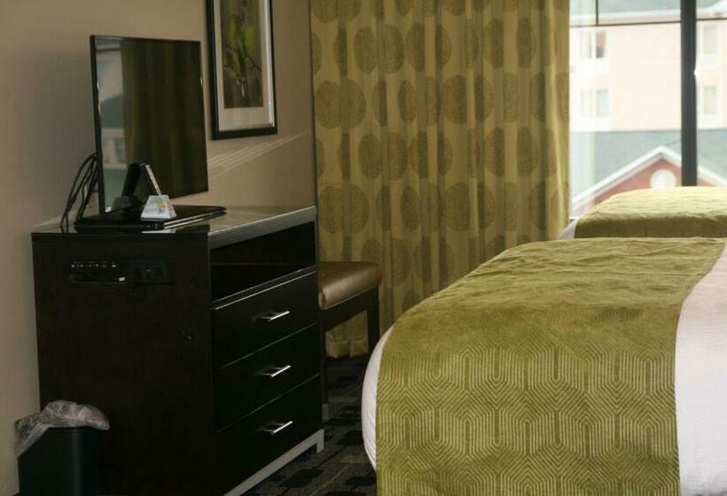 Номер Стандарт, Best Western Premier University Inn