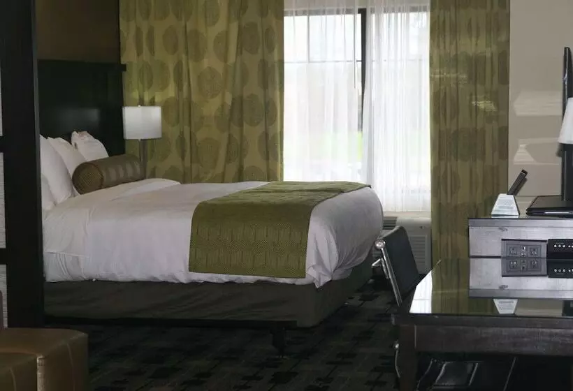 Suite Adapted for people with reduced mobility