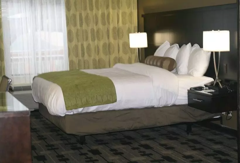 身障者適用スイートルーム, Best Western Premier University Inn