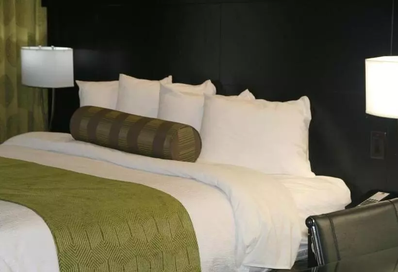 スイート, Best Western Premier University Inn