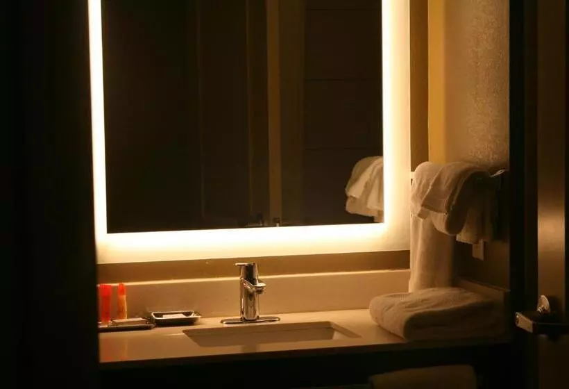 Suite King Bed