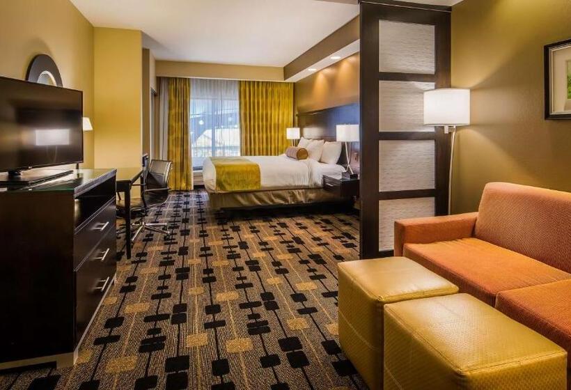 Номер Стандарт Кровать Кинг Адаптированный для Инвалидов, Best Western Premier University Inn