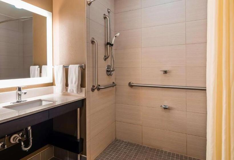 Номер Стандарт Кровать Кинг Адаптированный для Инвалидов, Best Western Premier University Inn