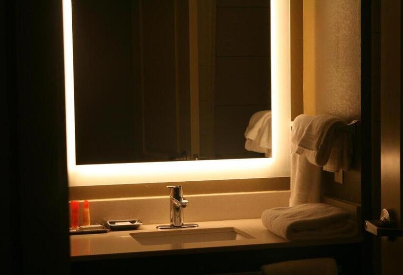 Номер Стандарт Адаптированный для Инвалидов, Best Western Premier University Inn