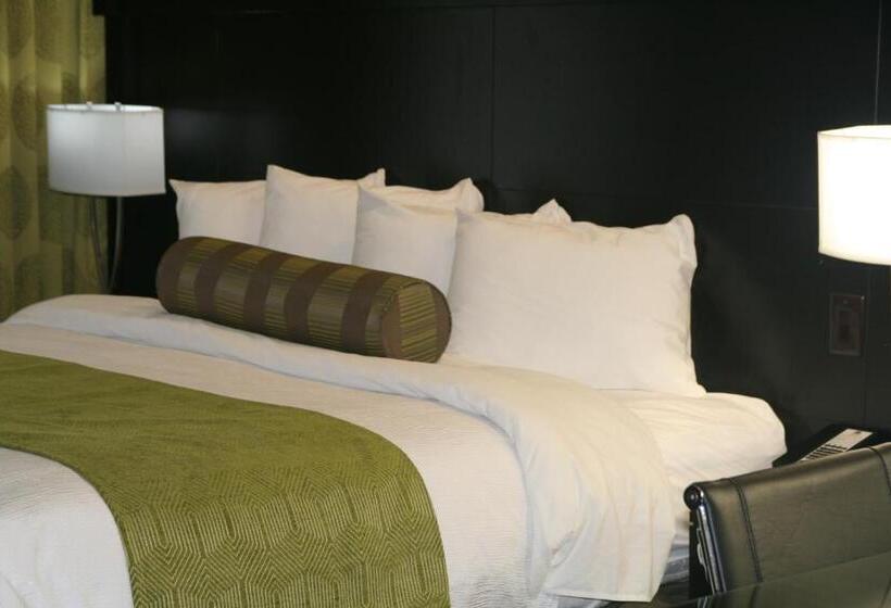Номер Стандарт Адаптированный для Инвалидов, Best Western Premier University Inn