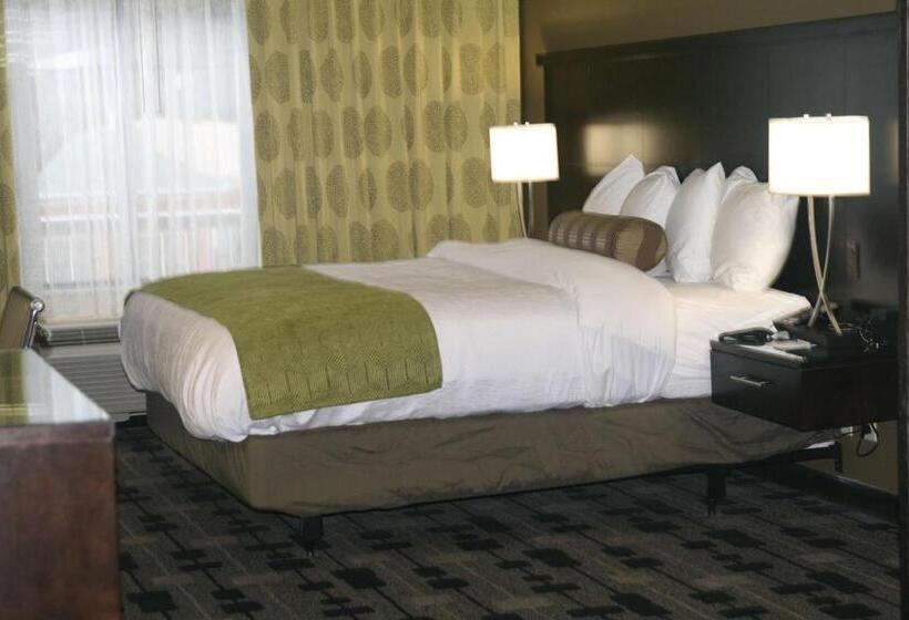 Люкс Адаптированный для Инвалидов, Best Western Premier University Inn