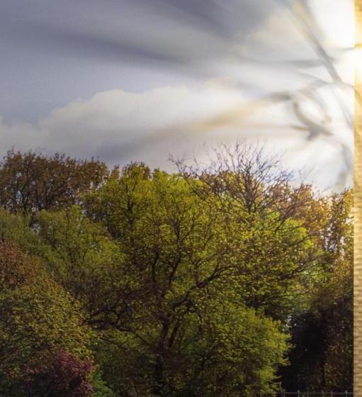 4인용 스탠다드 룸, Cavalier