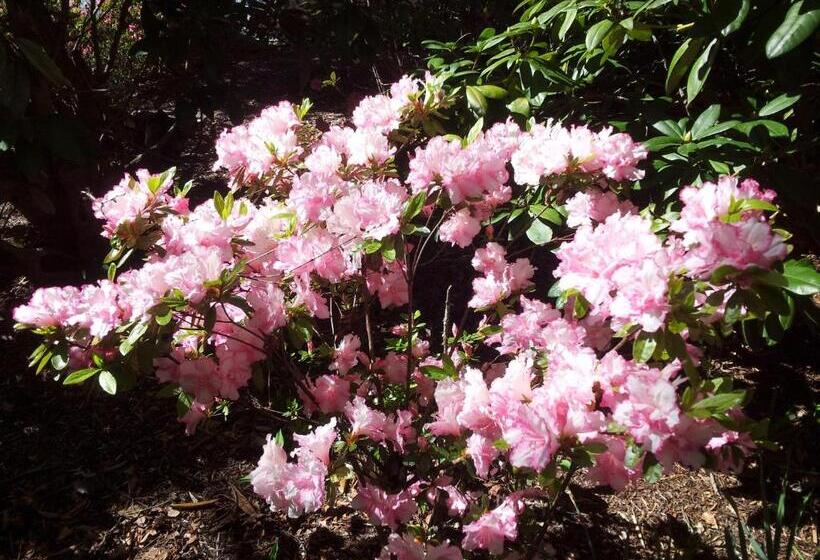 Quarto Premium, Kubba Roonga Guesthouse Boutique Luxury Peaceful Stay & Gardens Breakfast Included