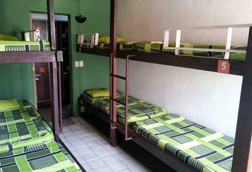 سرير فى غرفة مشتركه, Laranjeiras Hostel
