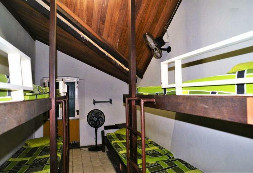 سرير فى غرفة مشتركه, Laranjeiras Hostel