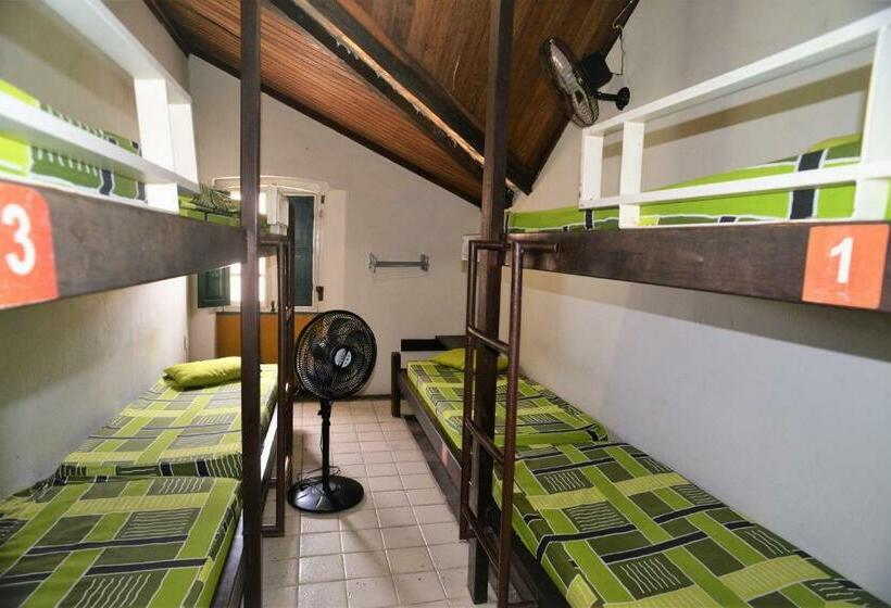 سرير فى غرفة مشتركه, Laranjeiras Hostel