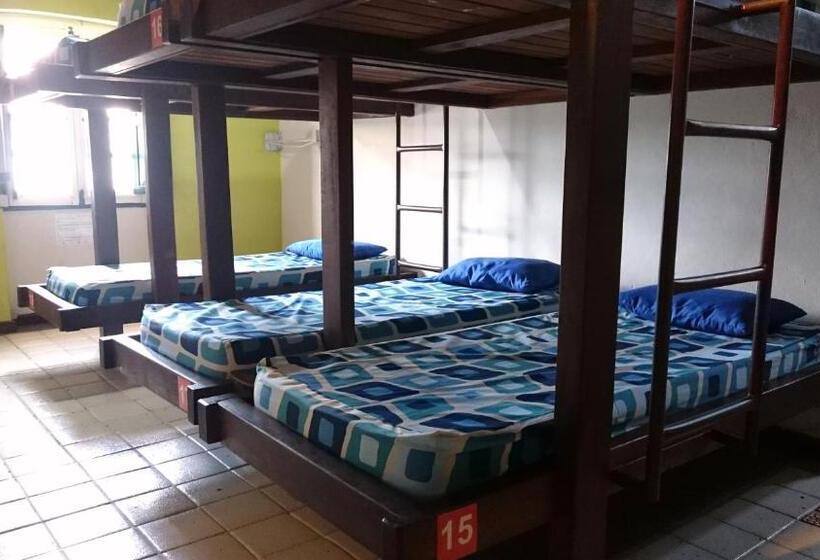 سرير فى غرفة مشتركه, Laranjeiras Hostel