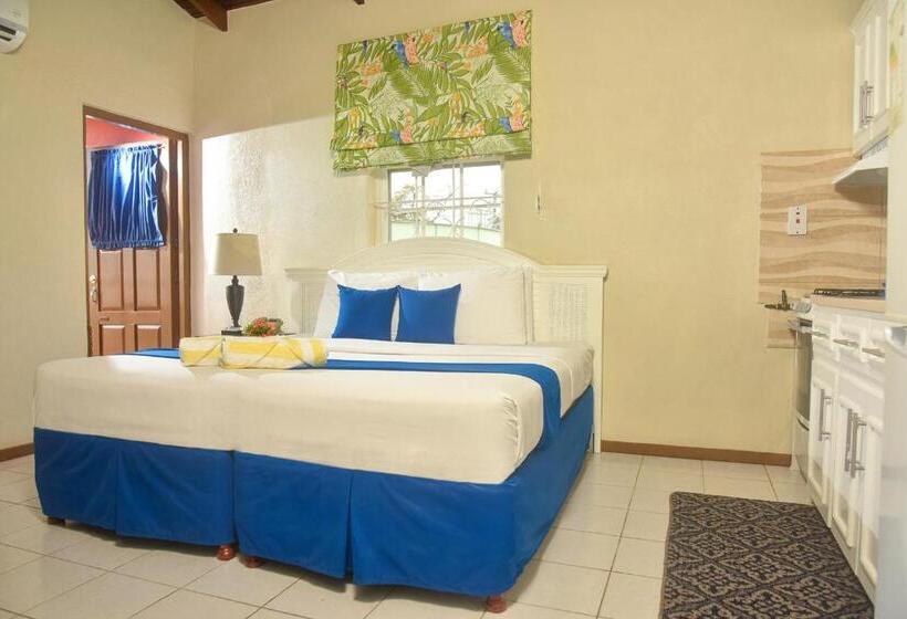 استودیو استاندارد با چشمانداز استخر, Melbourne Inn