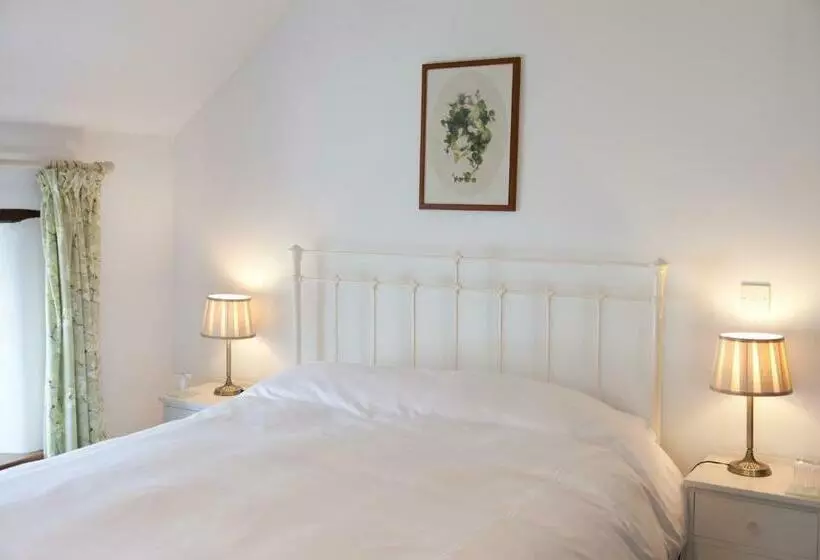 デラックスルーム, Belmont Bed And Breakfast