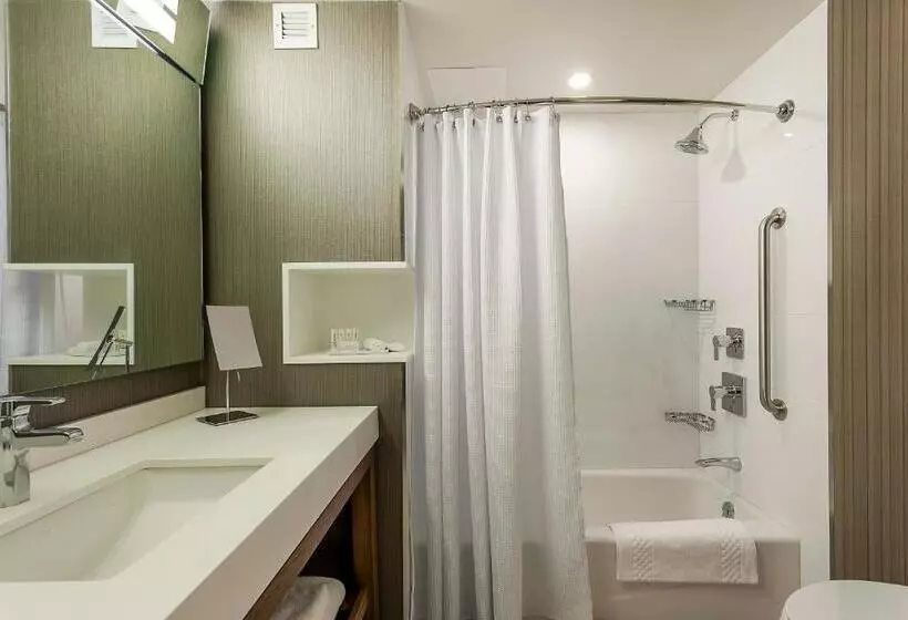 Standard-huone, Courtyard By Marriott Montreal West Island/baie D’urfe