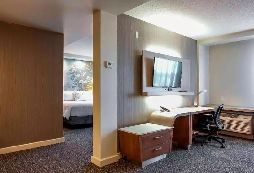 Sviitti King-vuode, Courtyard By Marriott Montreal West Island/baie D’urfe