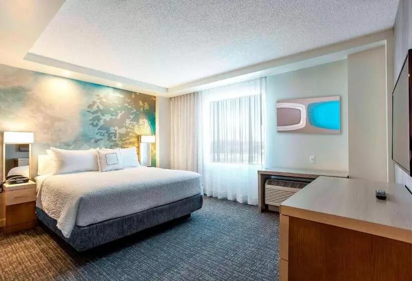 Sviitti King-vuode, Courtyard By Marriott Montreal West Island/baie D’urfe
