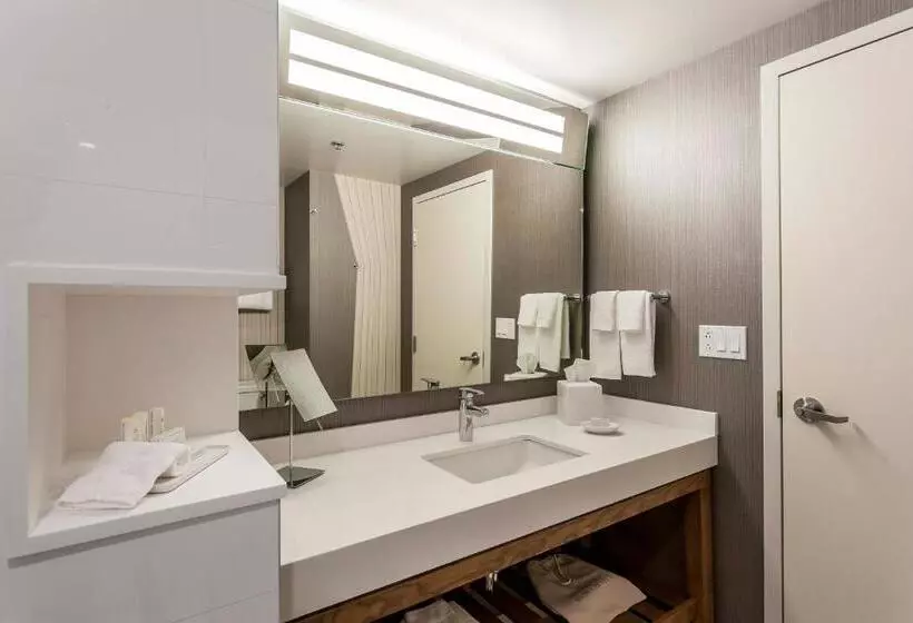 Sviitti King-vuode, Courtyard By Marriott Montreal West Island/baie D’urfe
