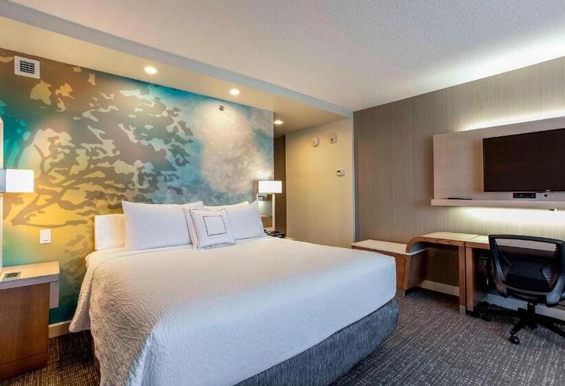 キングサイズベッドのスタンダードルーム, Courtyard By Marriott Montreal West Island/baie D’urfe