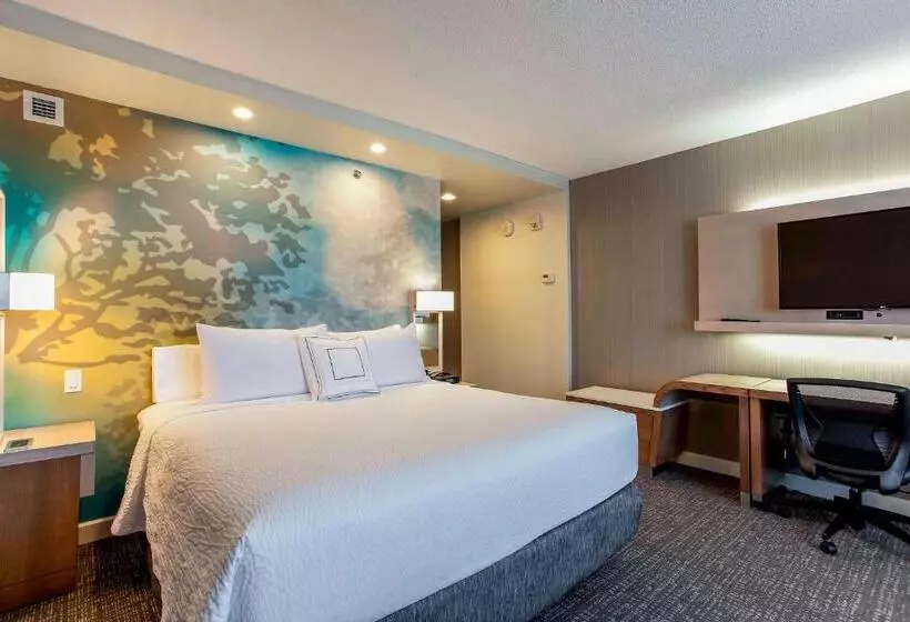 Standard-huone King-vuode, Courtyard By Marriott Montreal West Island/baie D’urfe
