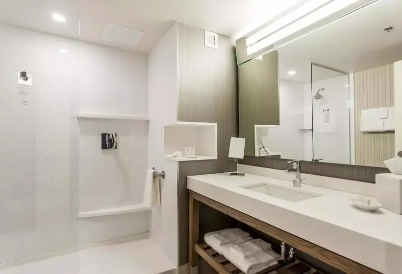 Standard-huone King-vuode, Courtyard By Marriott Montreal West Island/baie D’urfe