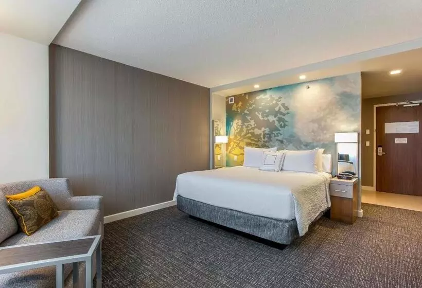 Standard-huone King-vuode, Courtyard By Marriott Montreal West Island/baie D’urfe