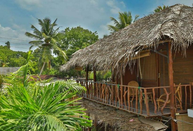 Шале 1 Спальня, Grand Conch Villa