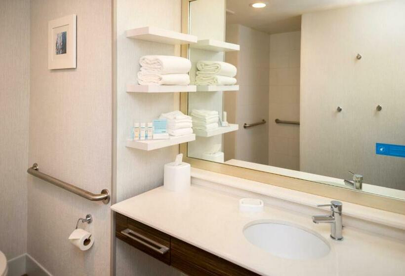 غرفة قياسية سرير كينج لذوى الإحتياجات الخاصة, Hampton Inn & Suites Olympia Lacey