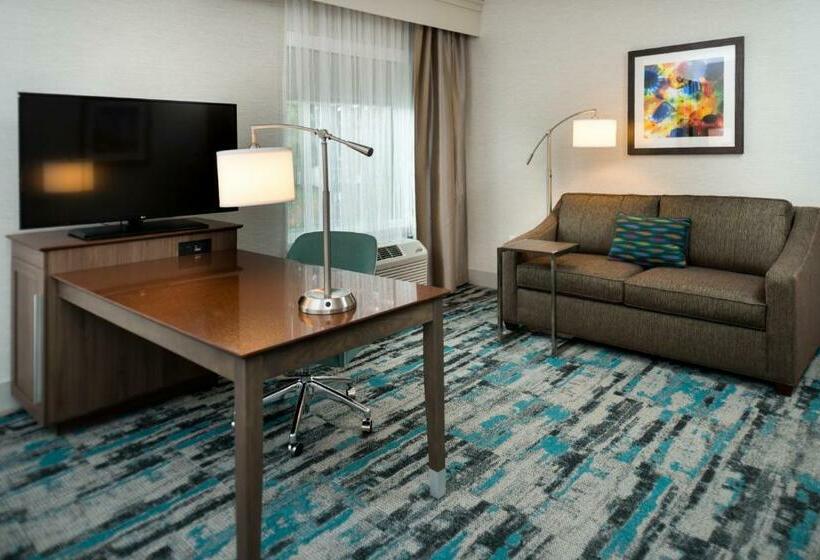 جناح ديلوكس سرير كينج, Hampton Inn & Suites Olympia Lacey