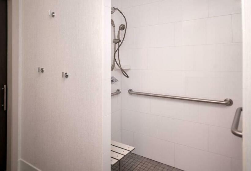 غرفة قياسية سرير كينج لذوى الإحتياجات الخاصة, Hampton Inn & Suites Olympia Lacey