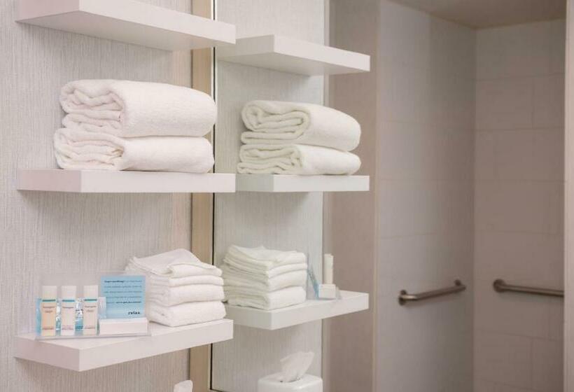 اتاق استاندارد با تخت بزرگ برای معلولان, Hampton Inn & Suites Olympia Lacey