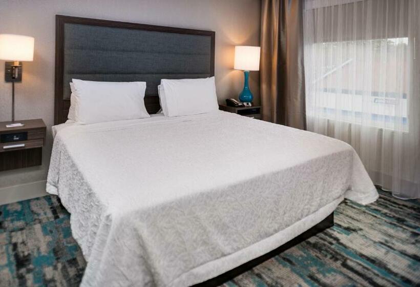 جناح ديلوكس سرير كينج, Hampton Inn & Suites Olympia Lacey