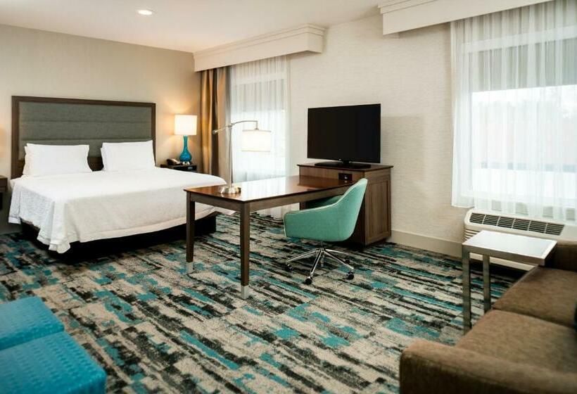 جناح ديلوكس سرير كينج, Hampton Inn & Suites Olympia Lacey