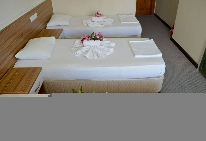 Quarto Estandar, Seda