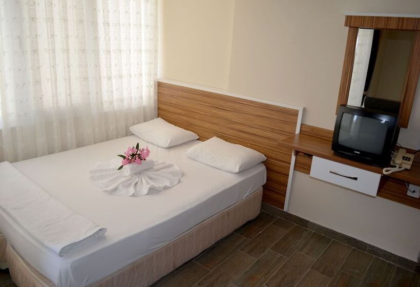 Quarto Estandar, Seda