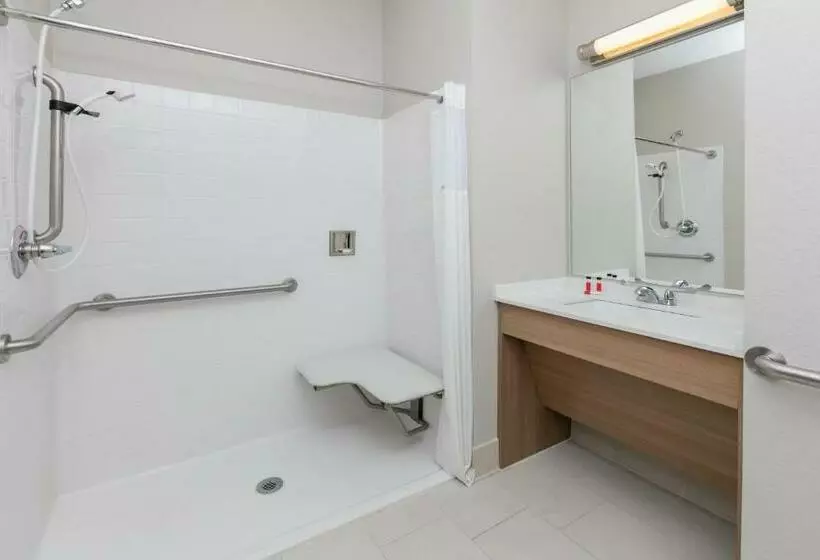 デラックスルーム, Microtel Inn And Suites By Wyndham Monahans